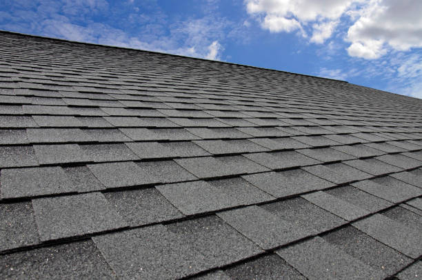 Best Solar Panel Roofing Installation  in Calvert City, KY